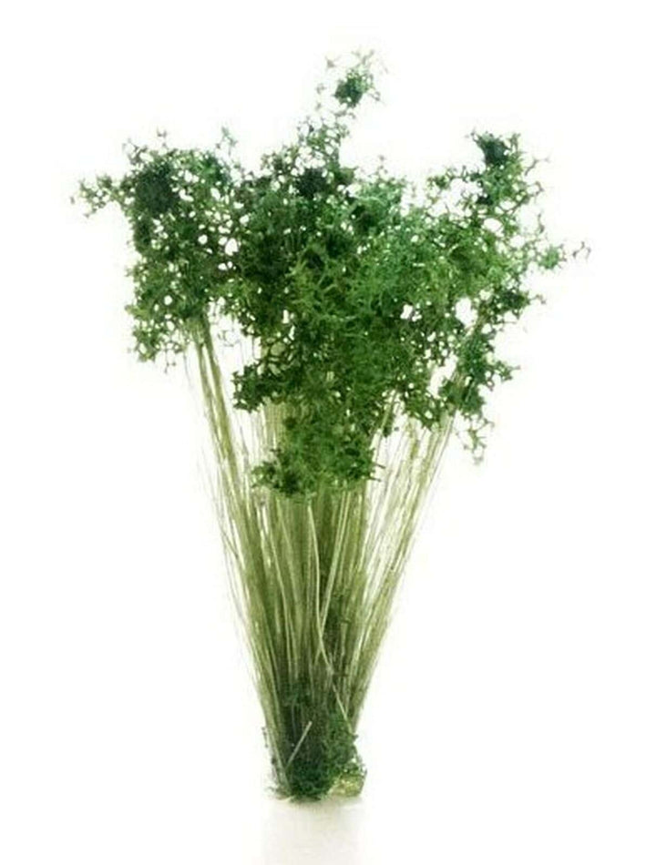 Woodland Scenics FS778 Dark Green Prairie Grass Peel 'n' Place Tufts image 1