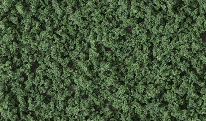 Woodland Scenics FC1637 Dark Green Underbrush Shaker NIB image 2